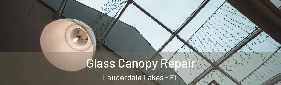  Glass Canopy Repair Lauderdale Lakes - FL