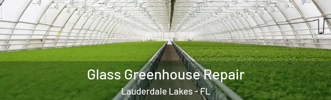 Glass Greenhouse Repair Lauderdale Lakes - FL